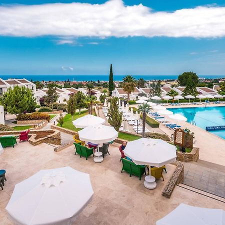 The Olive Tree Hotel Agios Epiktitos Εξωτερικό φωτογραφία