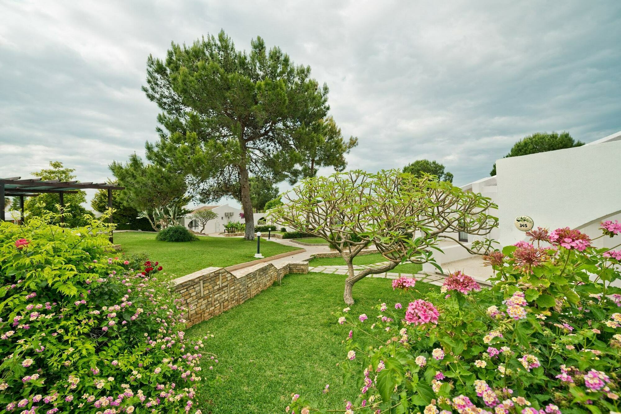 The Olive Tree Hotel Agios Epiktitos Εξωτερικό φωτογραφία