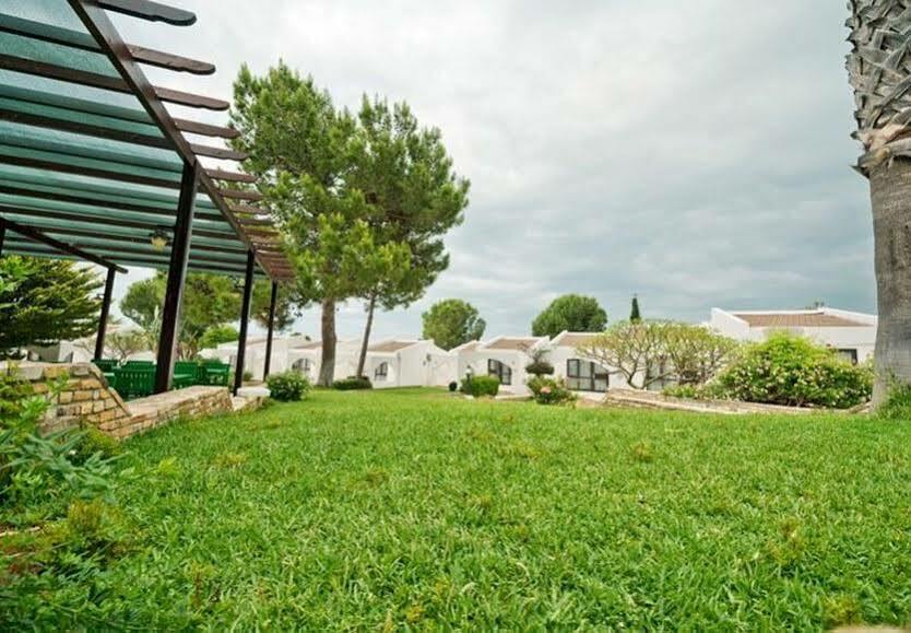 The Olive Tree Hotel Agios Epiktitos Εξωτερικό φωτογραφία