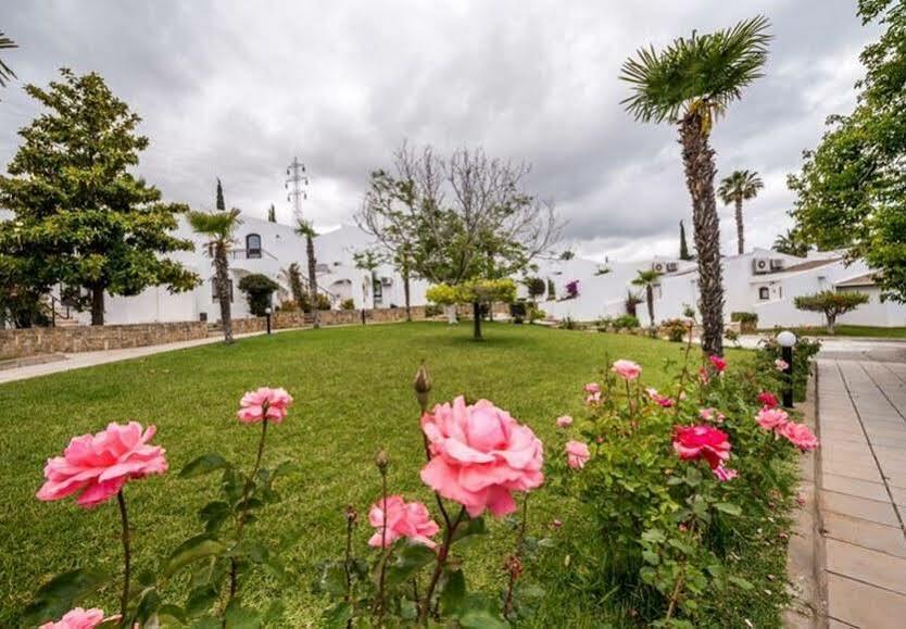 The Olive Tree Hotel Agios Epiktitos Εξωτερικό φωτογραφία