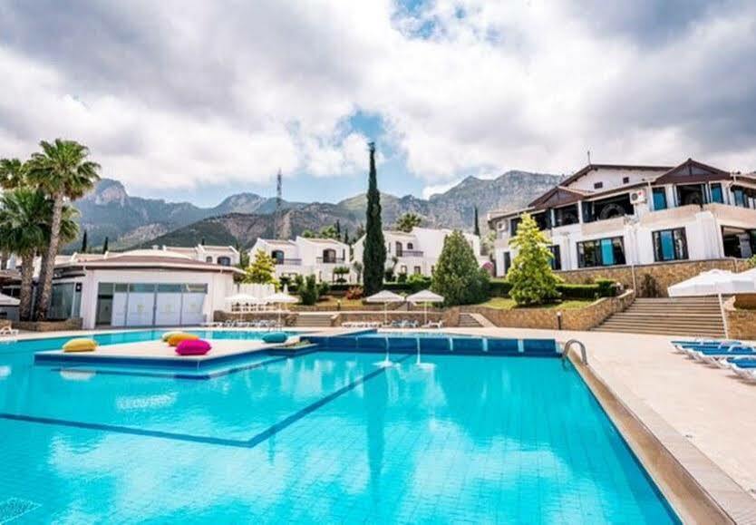 The Olive Tree Hotel Agios Epiktitos Εξωτερικό φωτογραφία