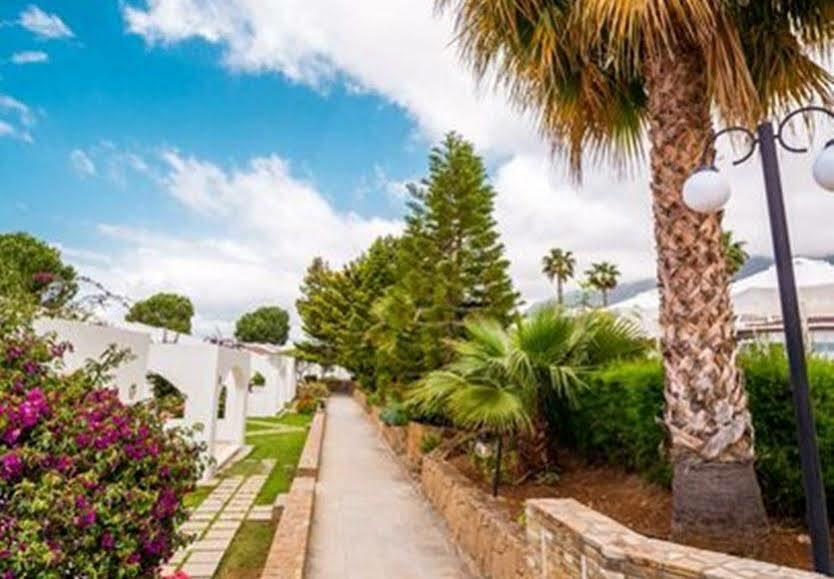 The Olive Tree Hotel Agios Epiktitos Εξωτερικό φωτογραφία