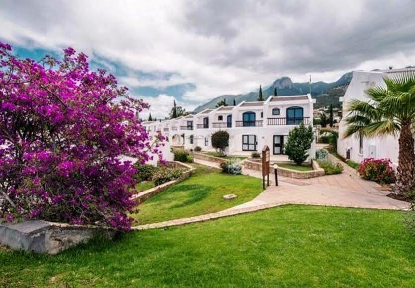 The Olive Tree Hotel Agios Epiktitos Εξωτερικό φωτογραφία