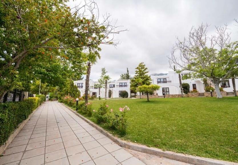 The Olive Tree Hotel Agios Epiktitos Εξωτερικό φωτογραφία