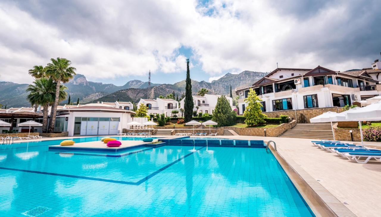 The Olive Tree Hotel Agios Epiktitos Εξωτερικό φωτογραφία