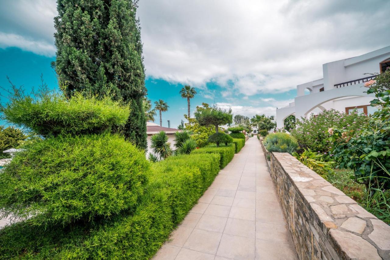 The Olive Tree Hotel Agios Epiktitos Εξωτερικό φωτογραφία