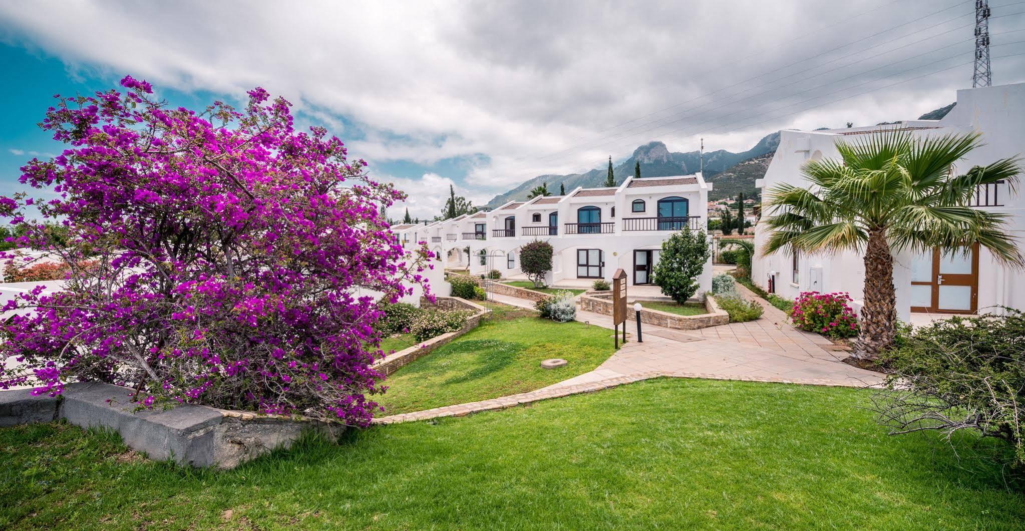 The Olive Tree Hotel Agios Epiktitos Εξωτερικό φωτογραφία