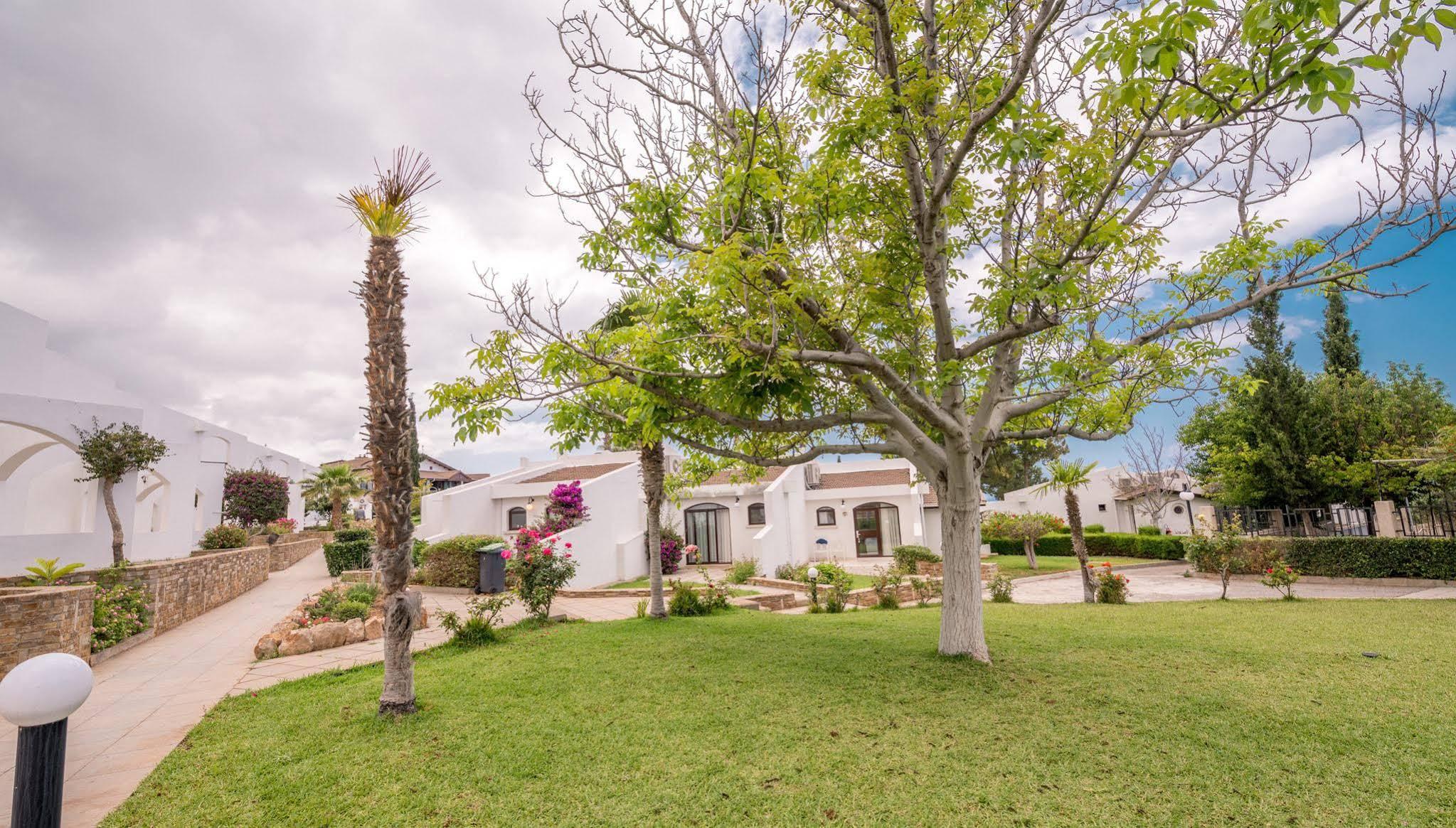 The Olive Tree Hotel Agios Epiktitos Εξωτερικό φωτογραφία